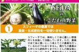 農業生産 スフィーダ