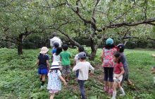 9/20 秋 有機循環農業「福津農園」で 自然体験学習をしましょう
