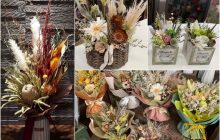 2026/2/5-16 企画展「ドライフラワーのある暮らし」