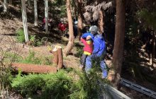 3/7（土）植林した山で間伐活動をしよう！