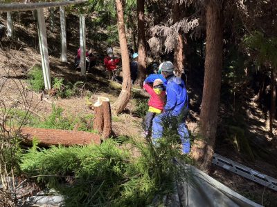 3/7（土）植林した山で間伐活動をしよう！